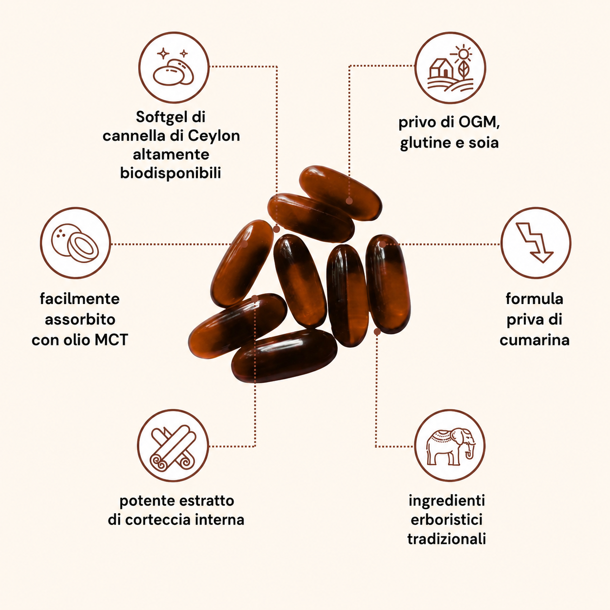 Cannella di Ceylon equivalente a 7200mg con Olio MCT